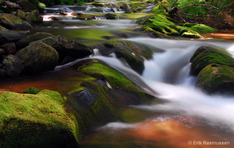 Mossy Stream