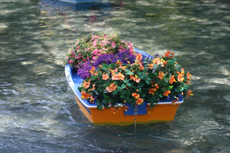 The Flower Boat