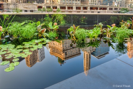 Chicago City Reflected