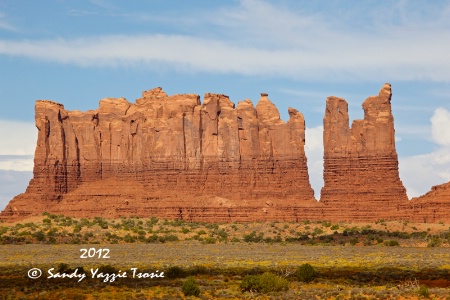 Navajo Land