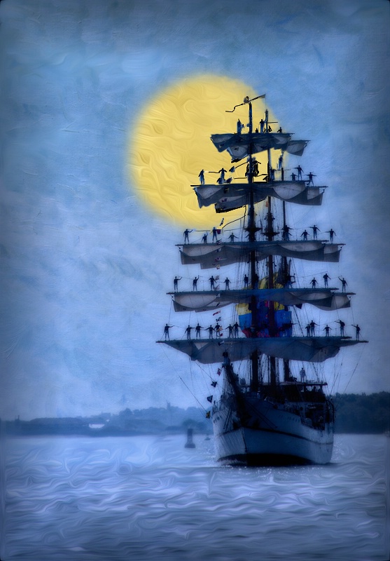 Moonlight Sail