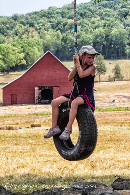 Tire Swing