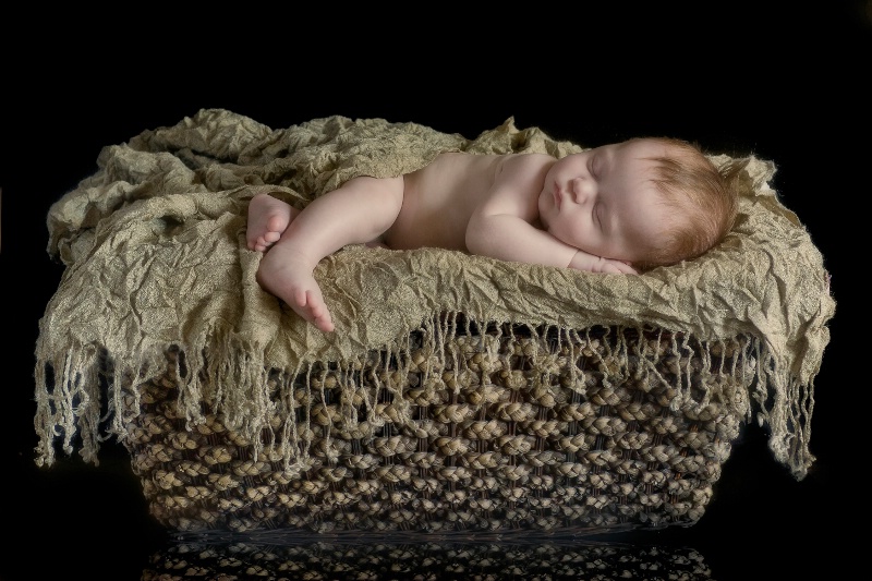 Babe in a Basket - ID: 13133714 © Laurie Daily