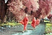 Novices