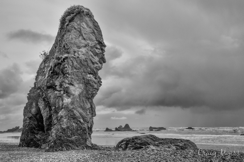 Beach Monolith, Olympic NP - ID: 13134357 © Craig W. Myers
