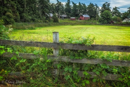 Skagit Valley Farm