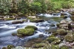 Greenbriar Creek