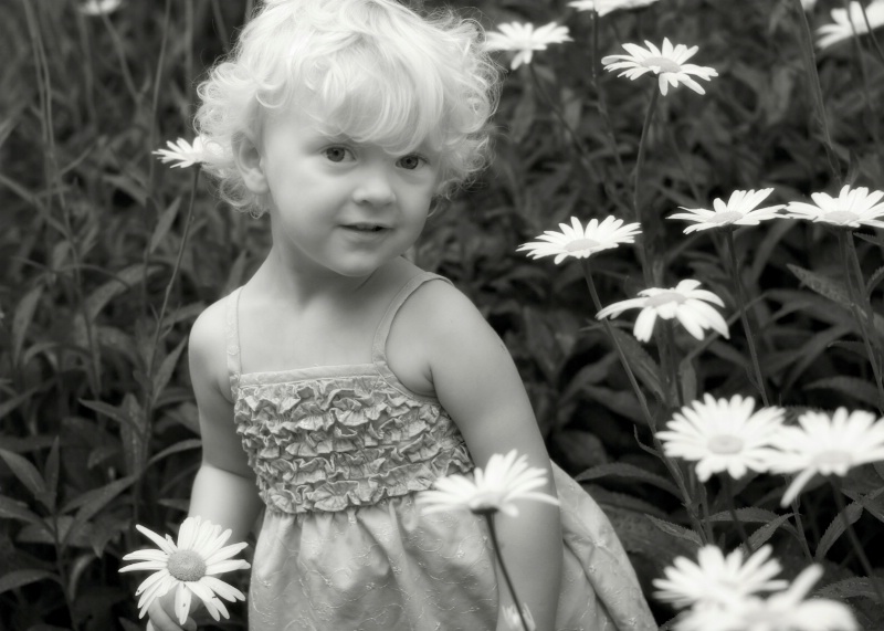 Zoe and Daisies 2