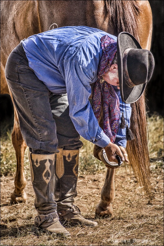 The Farrier