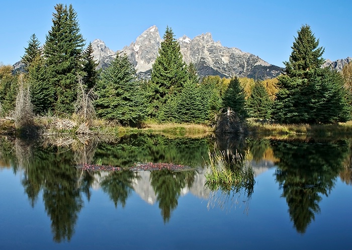 Schwabacher Landing Hike - ID: 13138214 © Patricia A. Casey