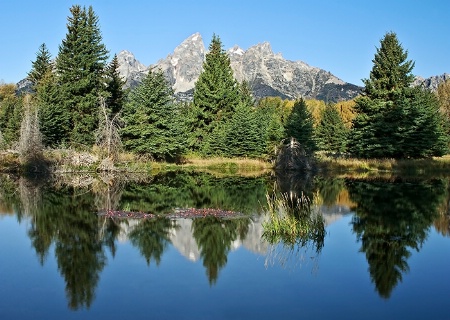 Schwabacher Landing Hike