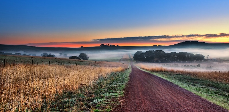 The colours of Merino