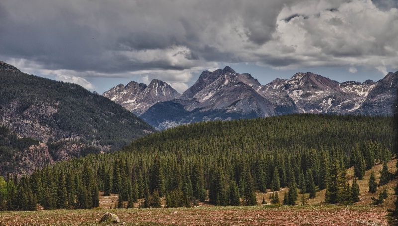 Cascade Creek View