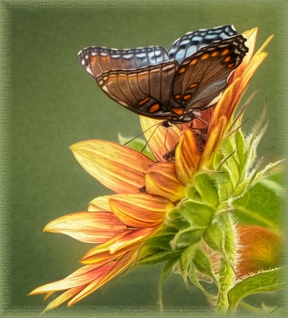 Good Day Sunflower