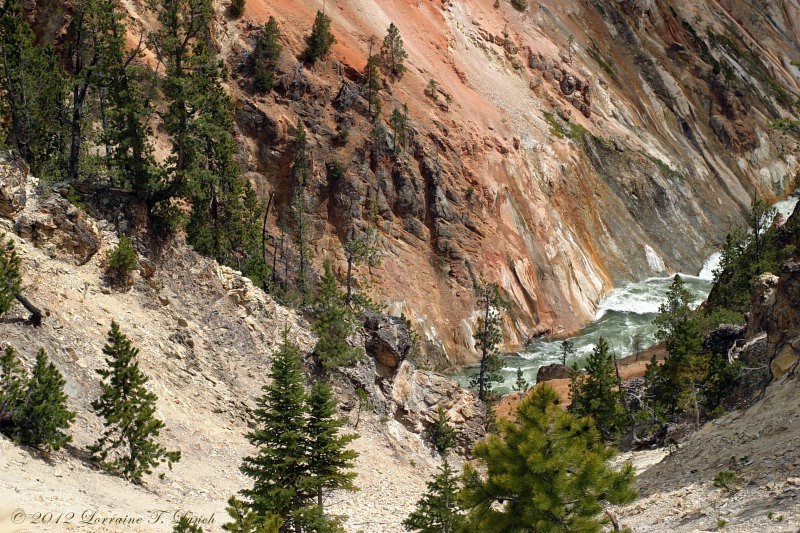 Grand Canyon Of Yellowstone