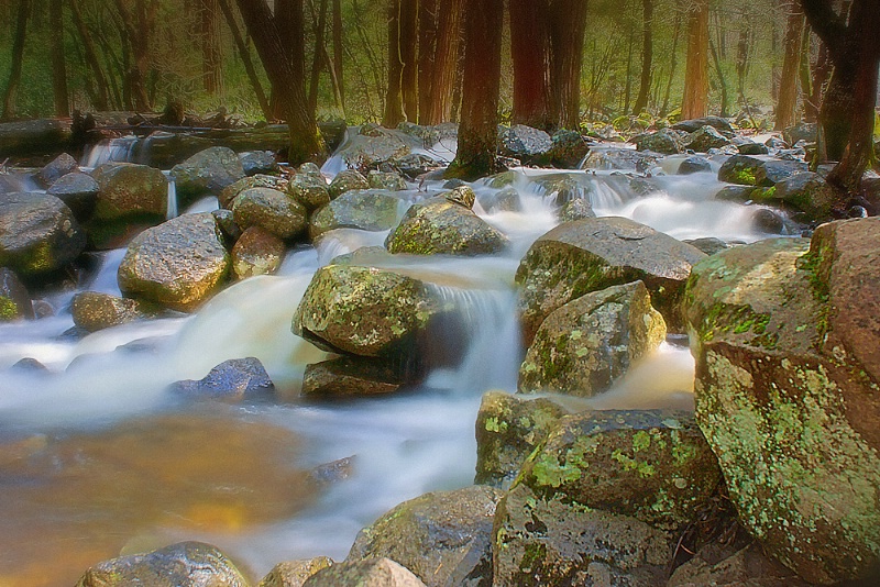 Bridalveil Creek, Yosemite N P