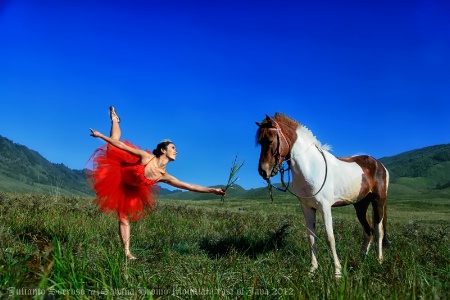 Balerina dancing with Horse