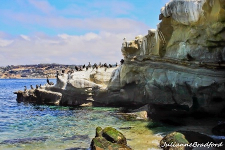 La Jolla Cove