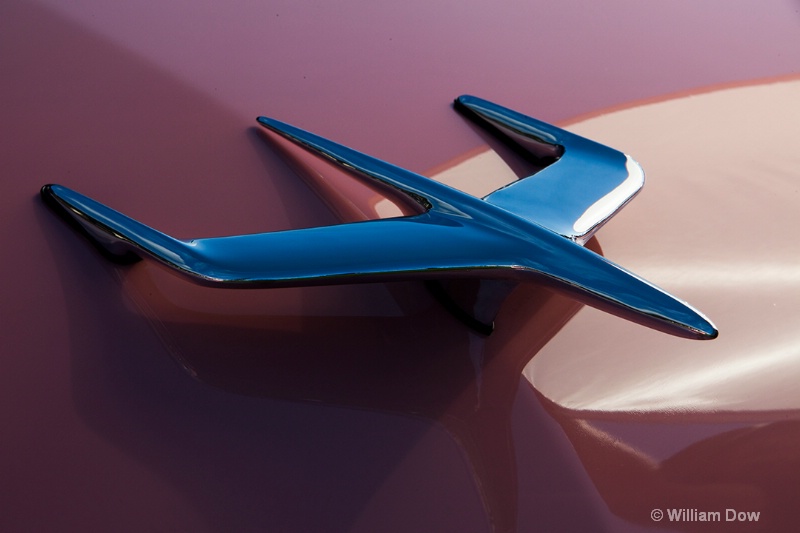img 7497 - ID: 13145630 © William Dow