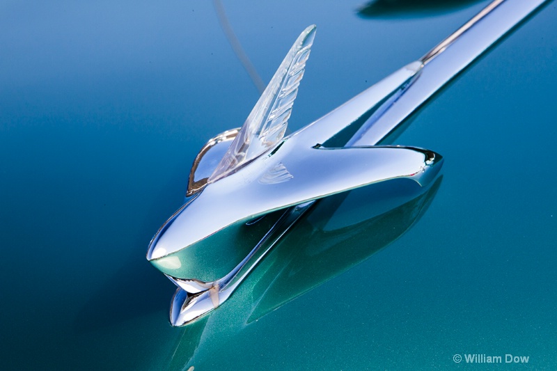 img 7517 - ID: 13145633 © William Dow
