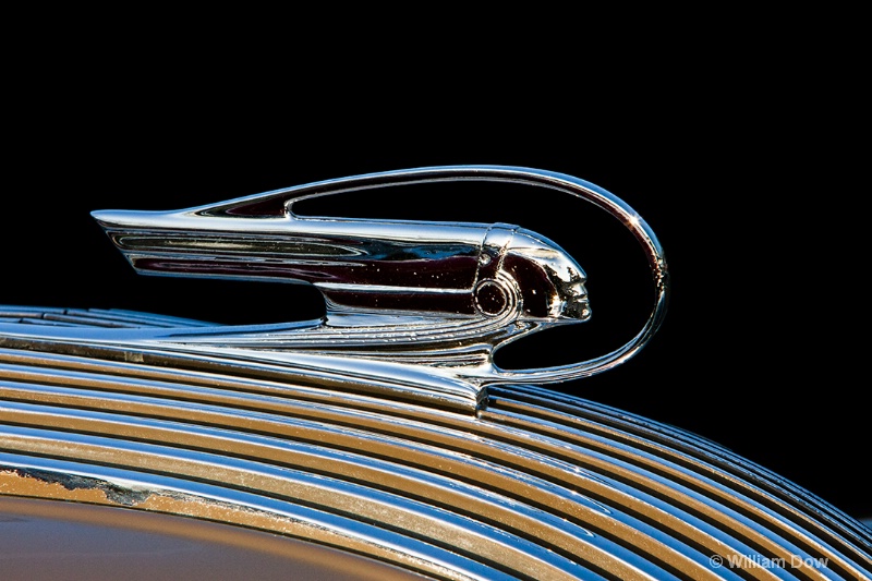 img 9463 - ID: 13145643 © William Dow