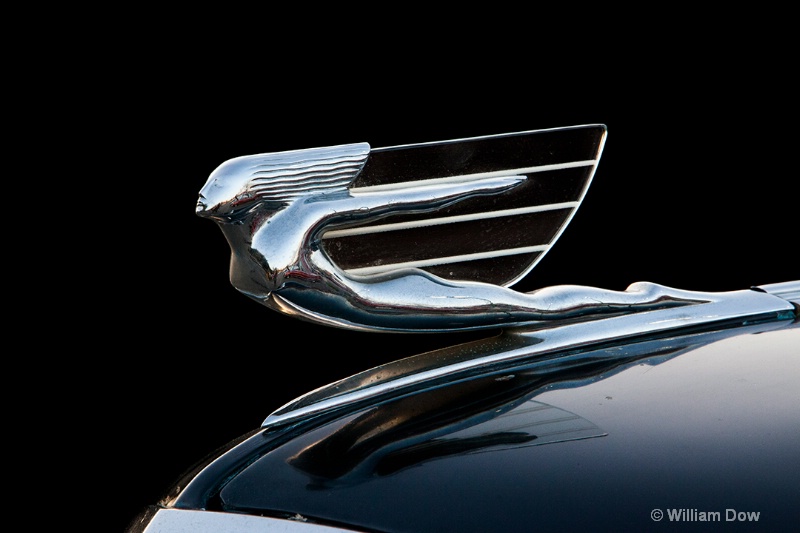 img 9476 - ID: 13145649 © William Dow