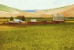 Crested Butte Ran...