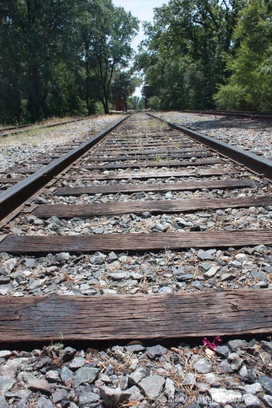 Railroad Tracks