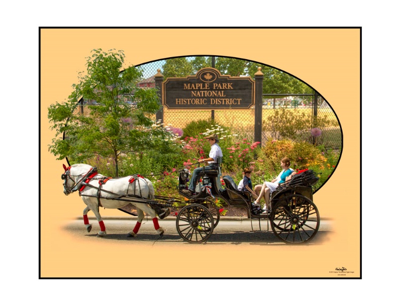 Maple Park Area - Horse and Carriage Ride