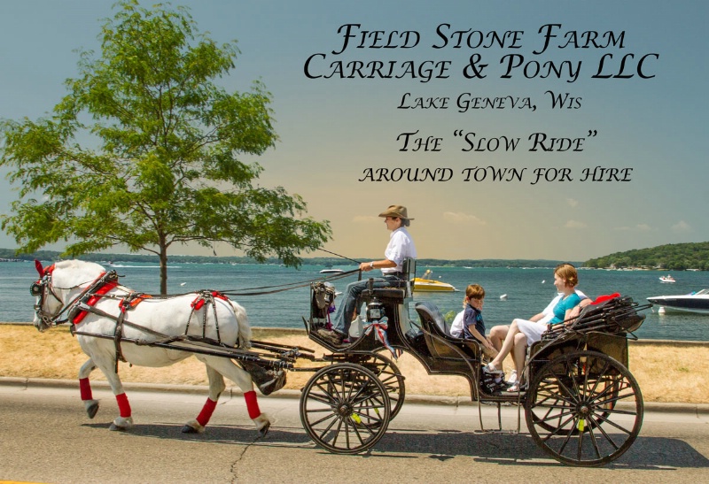 Vintage Horse and Carriage Ride Post Card Design