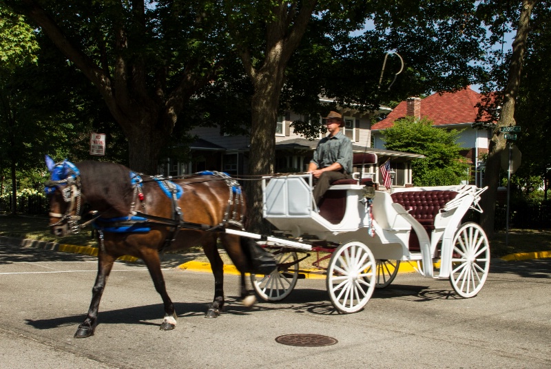 Dake Horse and White Carriage