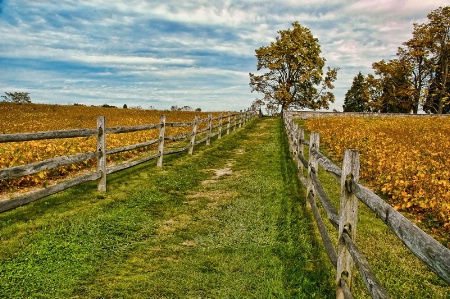 A Road Through Antietam