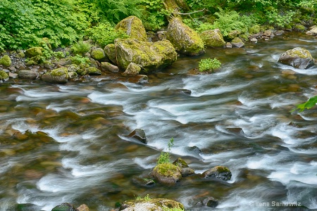 Eagle Creek