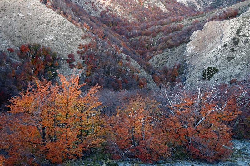 Valle de los Perdidos II