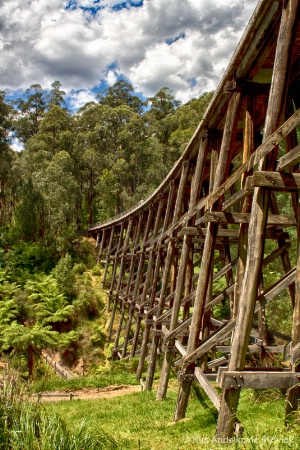 Trestle Bridge