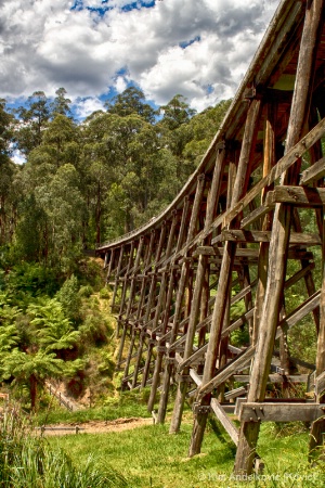 Trestle Bridge