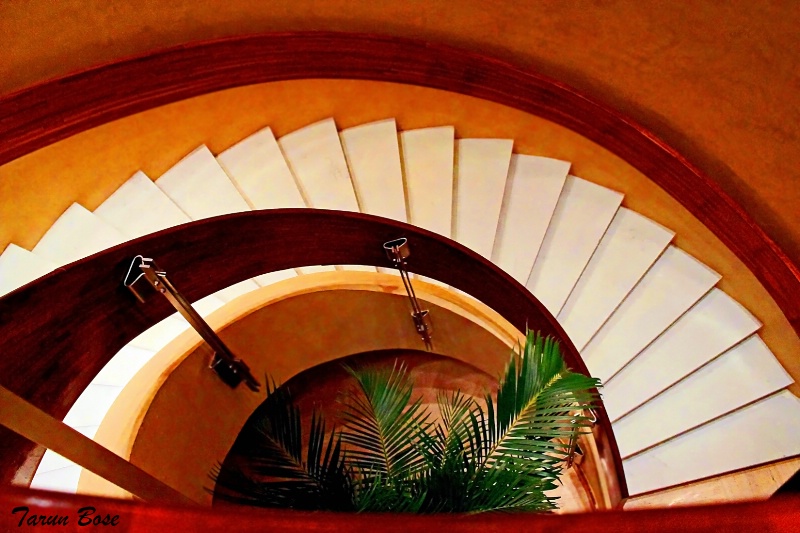 Curved Stairs.