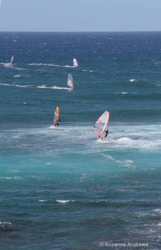 Windsurfing - ID: 13151631 © Suzanne Andrews