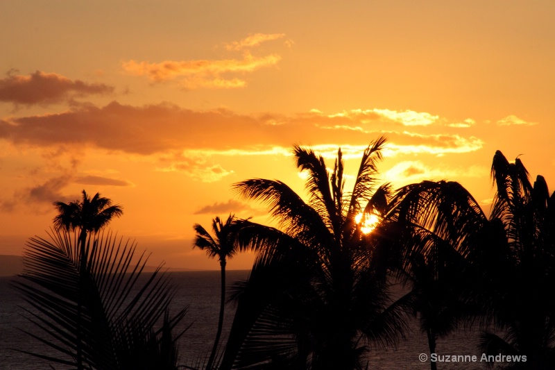 Maui Evening - ID: 13151633 © Suzanne Andrews