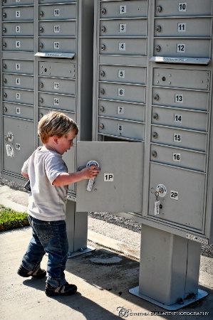 Mailbox Surprise