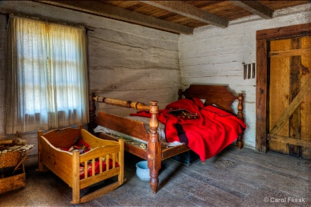 Log House Sleeping Quarters ~ Naper Settlement