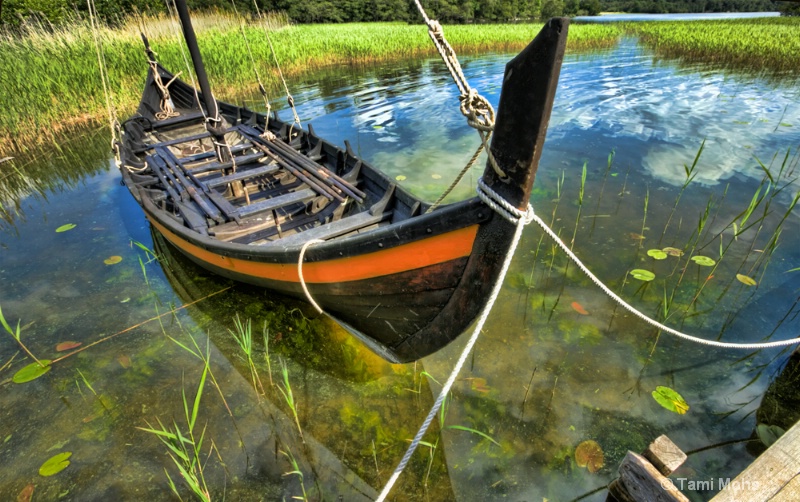 Viking boat 2