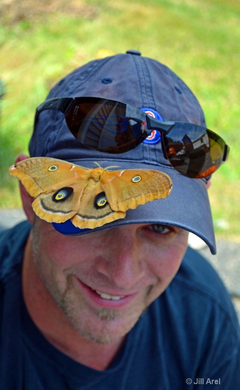 Maine's Mothra