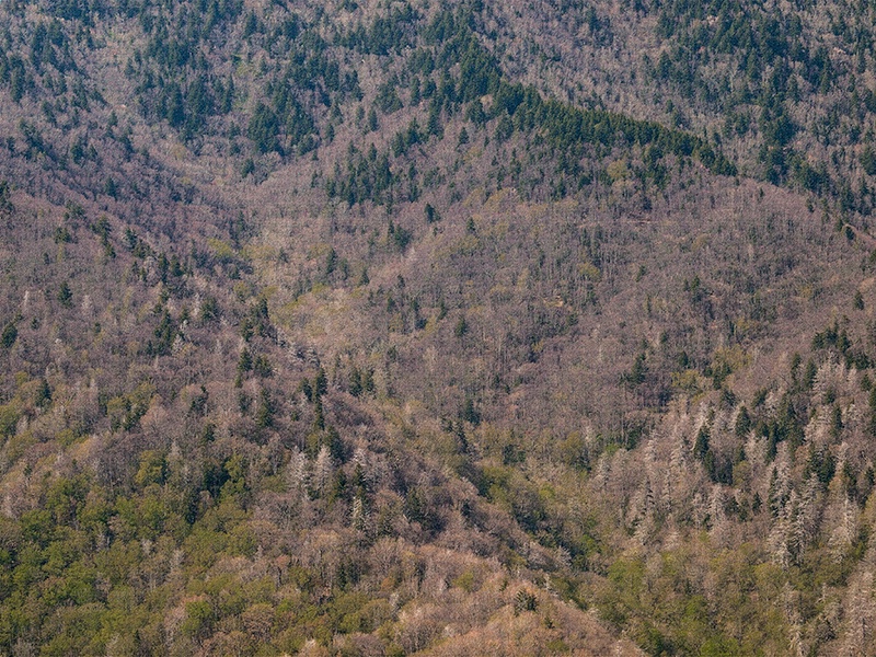 Mountainside Tapestry - ID: 13154873 © Philip B. Ludwig