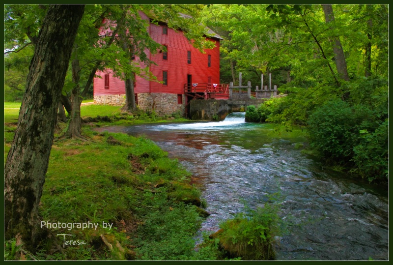 Allie Springs Mill