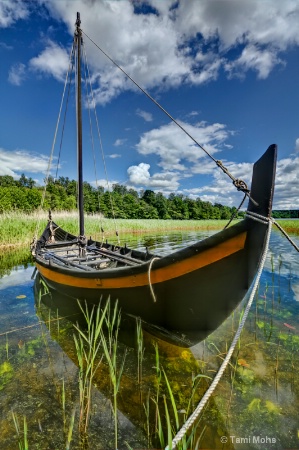 Viking boat 1