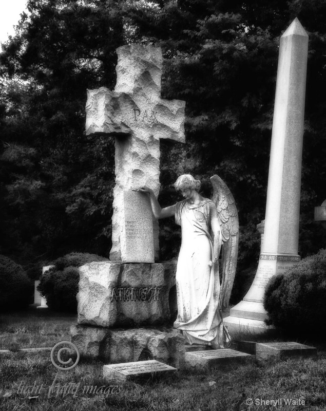 Angel at Hollywood Cemetery  