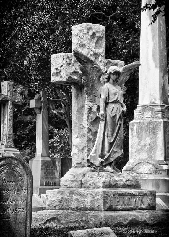Angel 2 at Hollywood Cemetery 