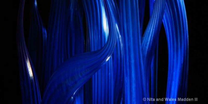 chihuly in blue