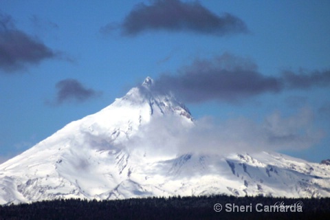 Mt. Jefferson - Oregon - ID: 13159790 © Sheri Camarda
